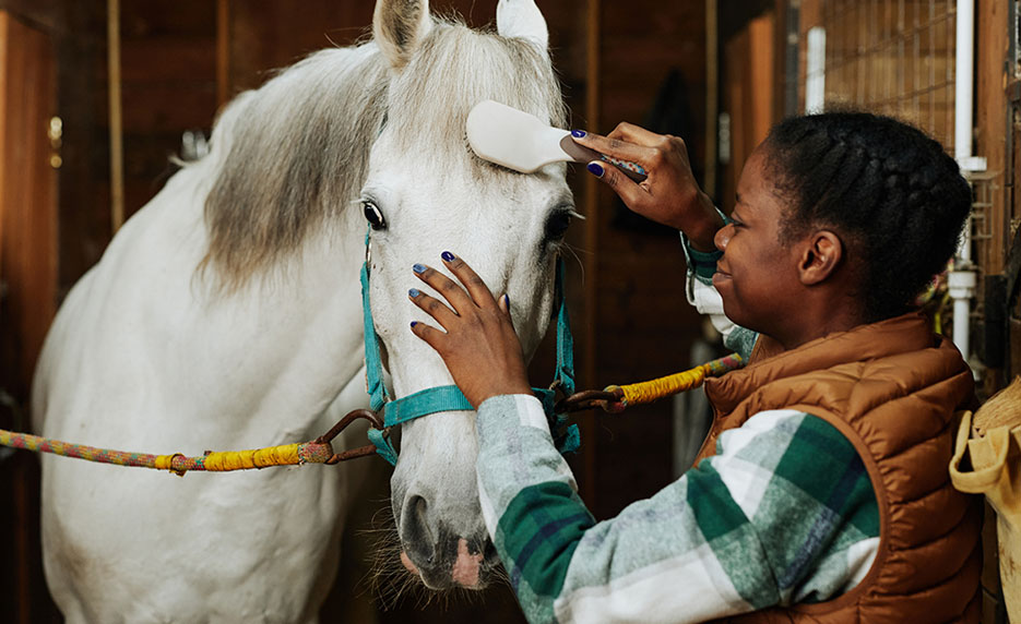Horse Care Management